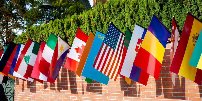 International flags