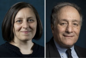 dr. coiculescu and dr. ravid